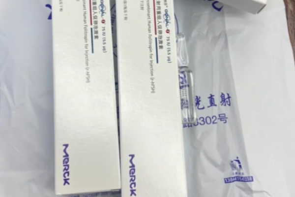 香港仁安医院供卵试管费用多少